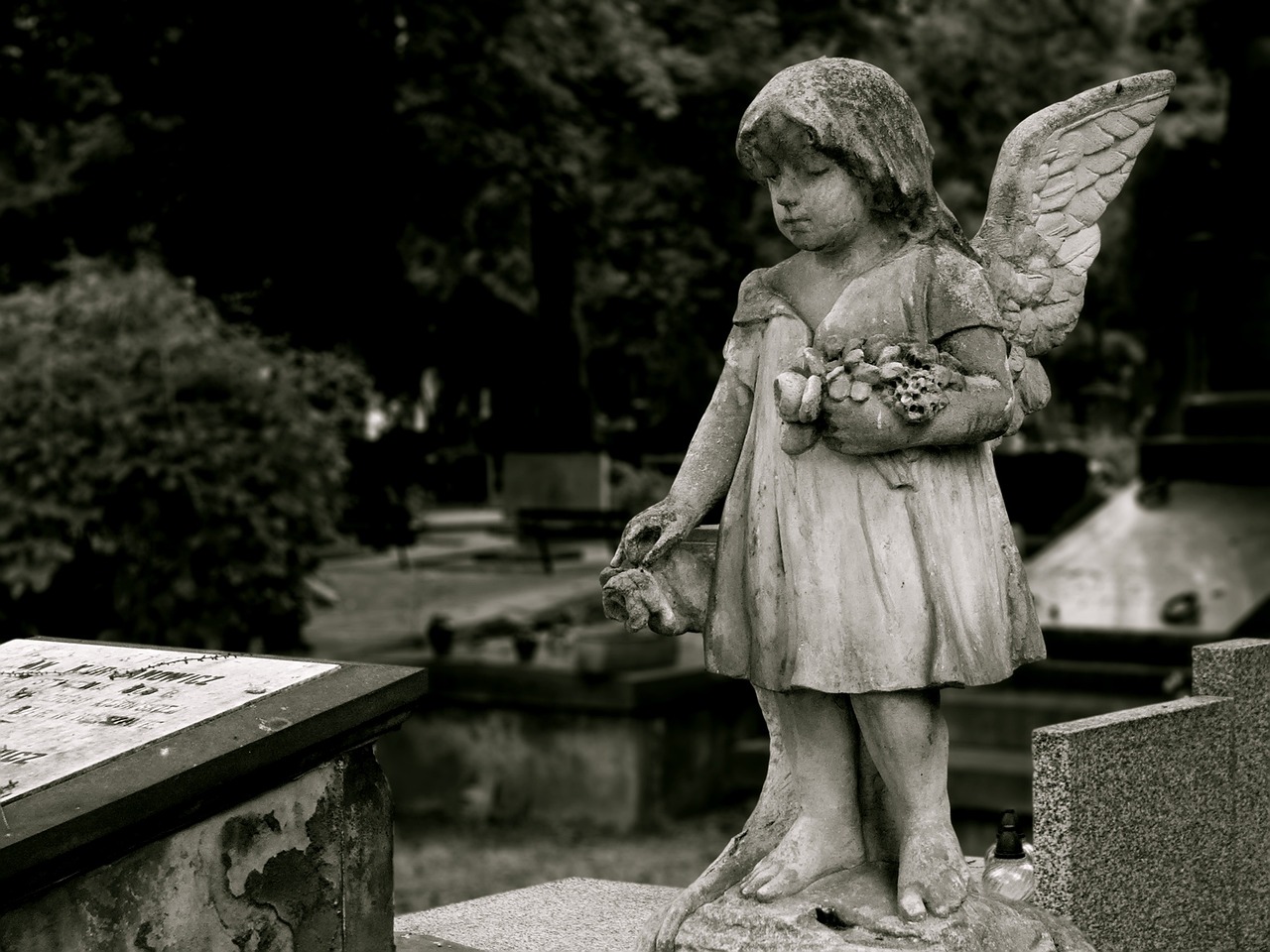 Beyond Burial and Cremation: Exploring Unique and Eco-Friendly Funeral Options